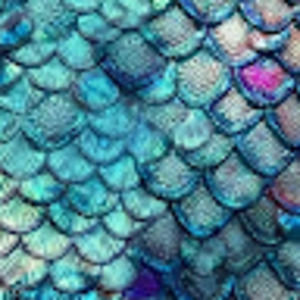 Meet your Posher, Belle